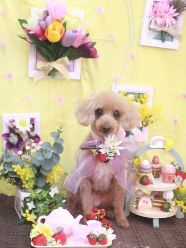 20230307モカちゃん